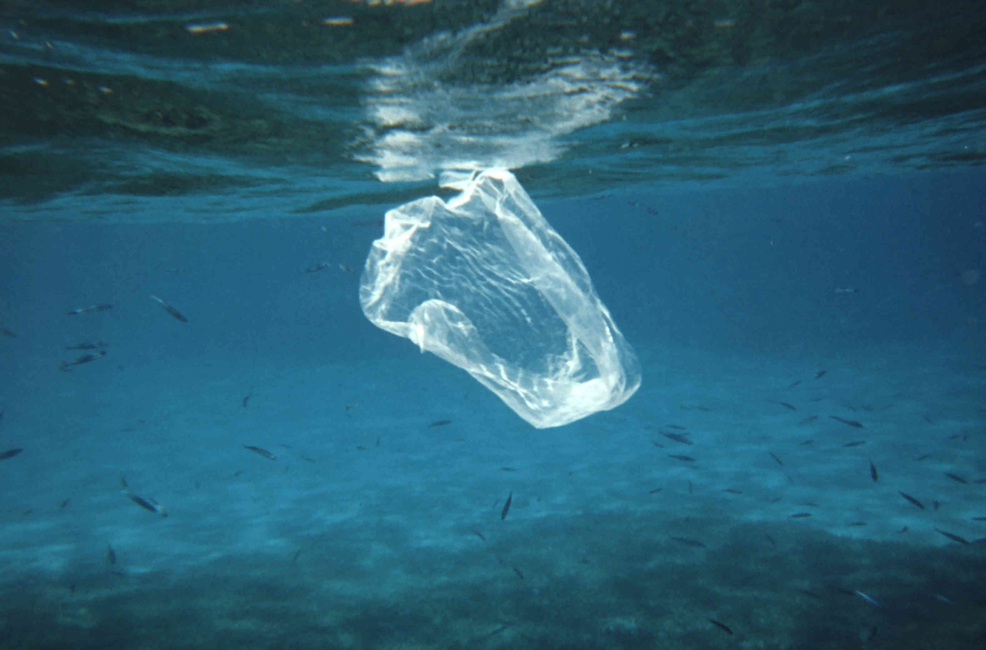 Пластик в воде. Загрязнение воды пластиком. Фото пластика в океане. Plastic Bags загрязнение. Пластиковые волокна в океане.